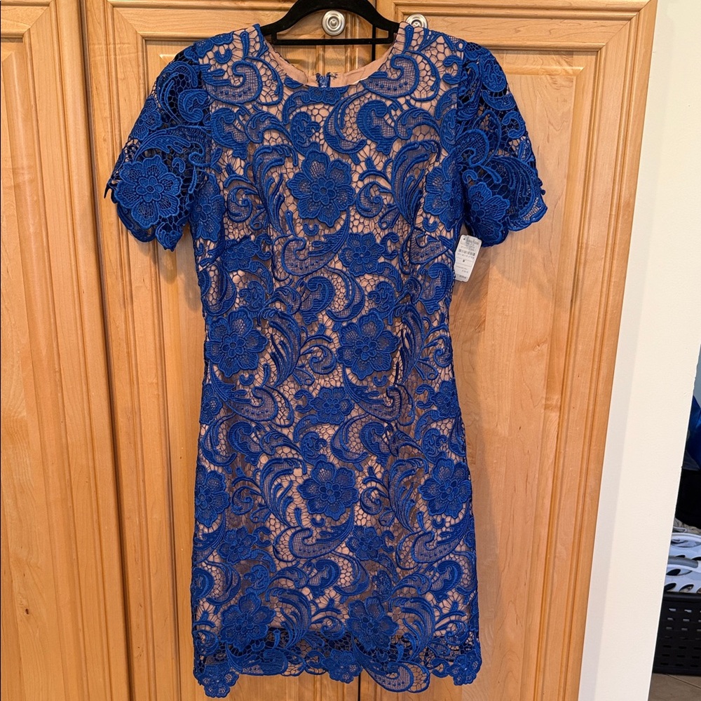 Dress the Population Cobalt Blue Lace Short Sleeve Dress
